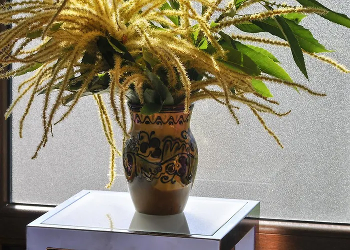 Rural Pescadores Собрадо